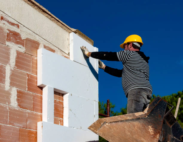 Best Geographic-Specific Insulation Services in Rio Linda, CA