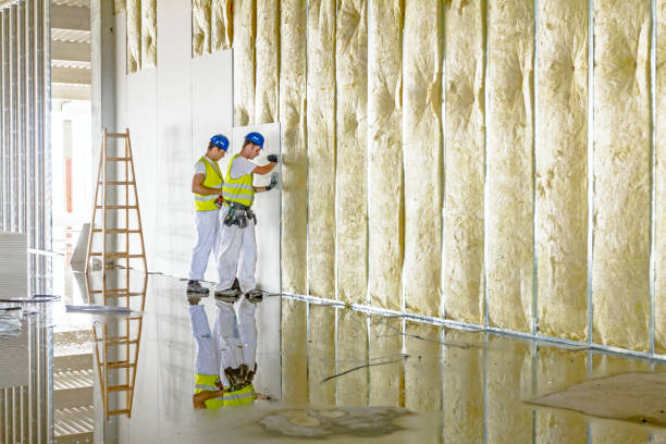 Best Energy Efficiency Insulation in Rio Linda, CA